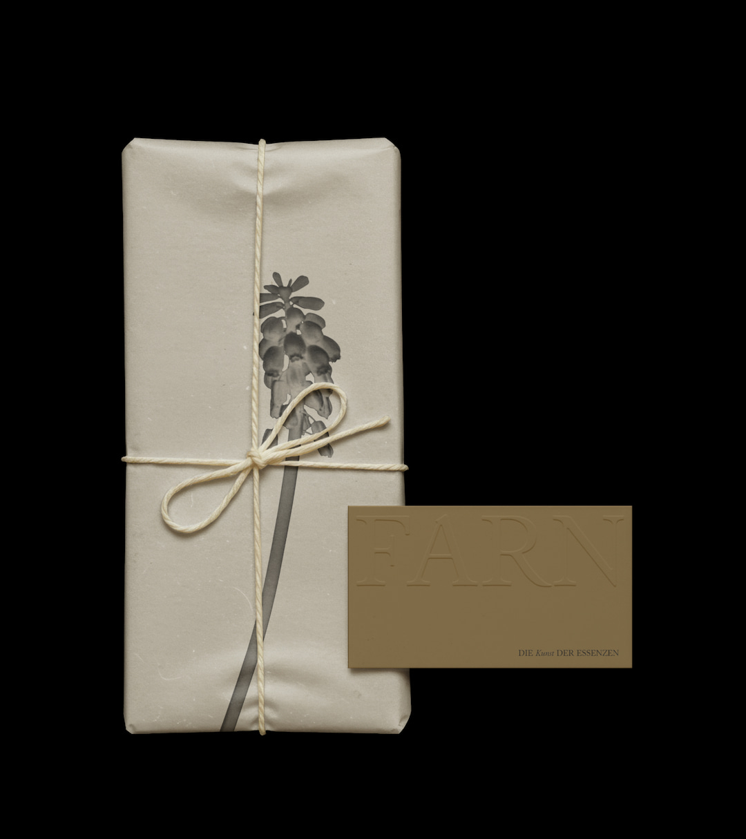 Brand Identity for Beauty Health Brand